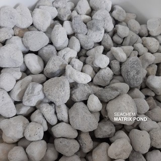 Matrix Seachem 100ml = 70Gr lọc nước bể cá