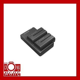 Bộ 2 pin và sạc đôi pin máy quay SONY NP-F550 RAVPOWER RP-BC006 chính hãng