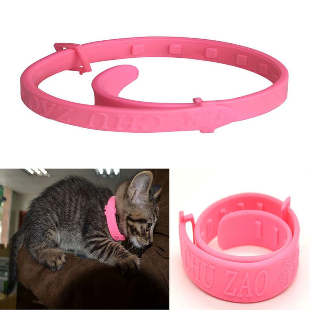 Vòng đeo cổ đuổi rận bảo vệ cho thú cưng tiện lợi