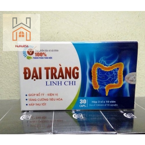 Đại Tràng Linh Chi - Hỗ Trợ Đau Bụng Khó Tiêu, Đi Ngoài Nhiều Lần, Giảm Triệu Chứng Viêm Đại Tràng - Hộp 30 viên