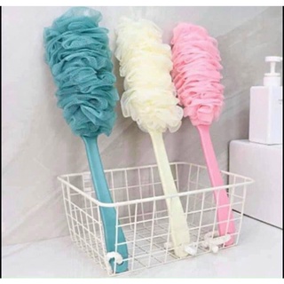 CÂY BÔNG TẮM KỲ LƯNG