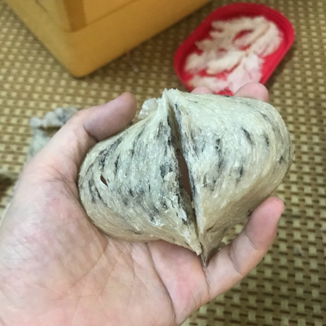 Yến sào thô nguyên tổ 10g +🎁🎁🎁