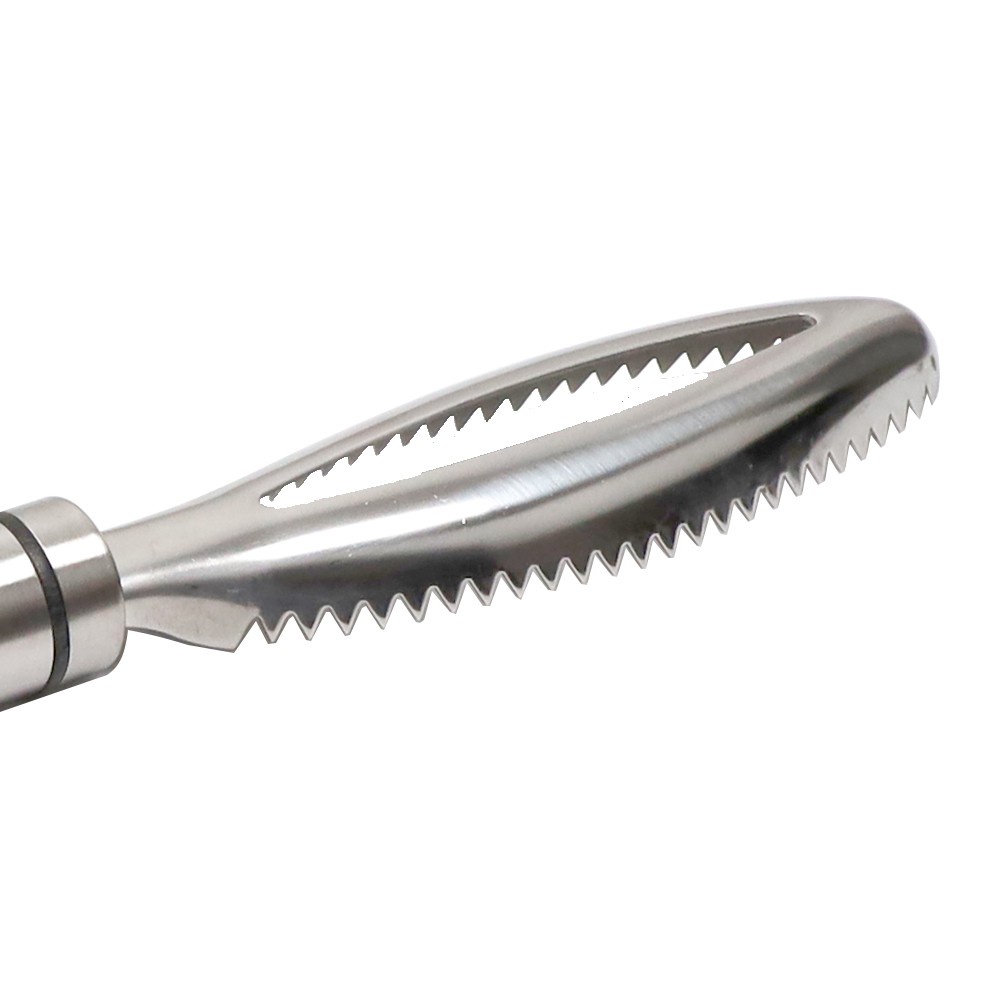 Dụng cụ đánh vảy cá bằng thép không gỉ 304