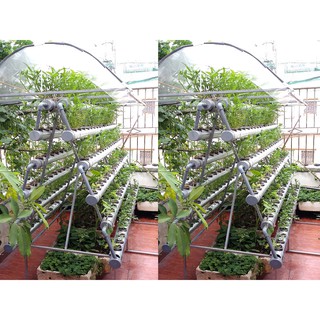 Thủy canh Bio - Life ( L )
