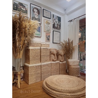 SỌT LỤC BÌNH
