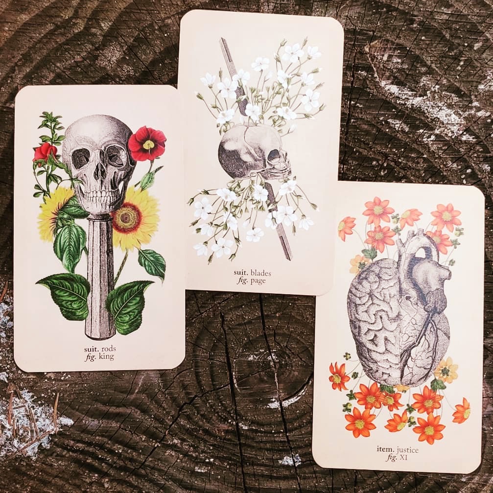 Bộ Bài Antique Anatomy Tarot (Mystic House Tarot Shop)