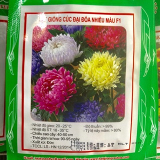 HẠT GIỐNG HOA CÚC ĐẠI ĐOÁ NHIỀU MÀU F1