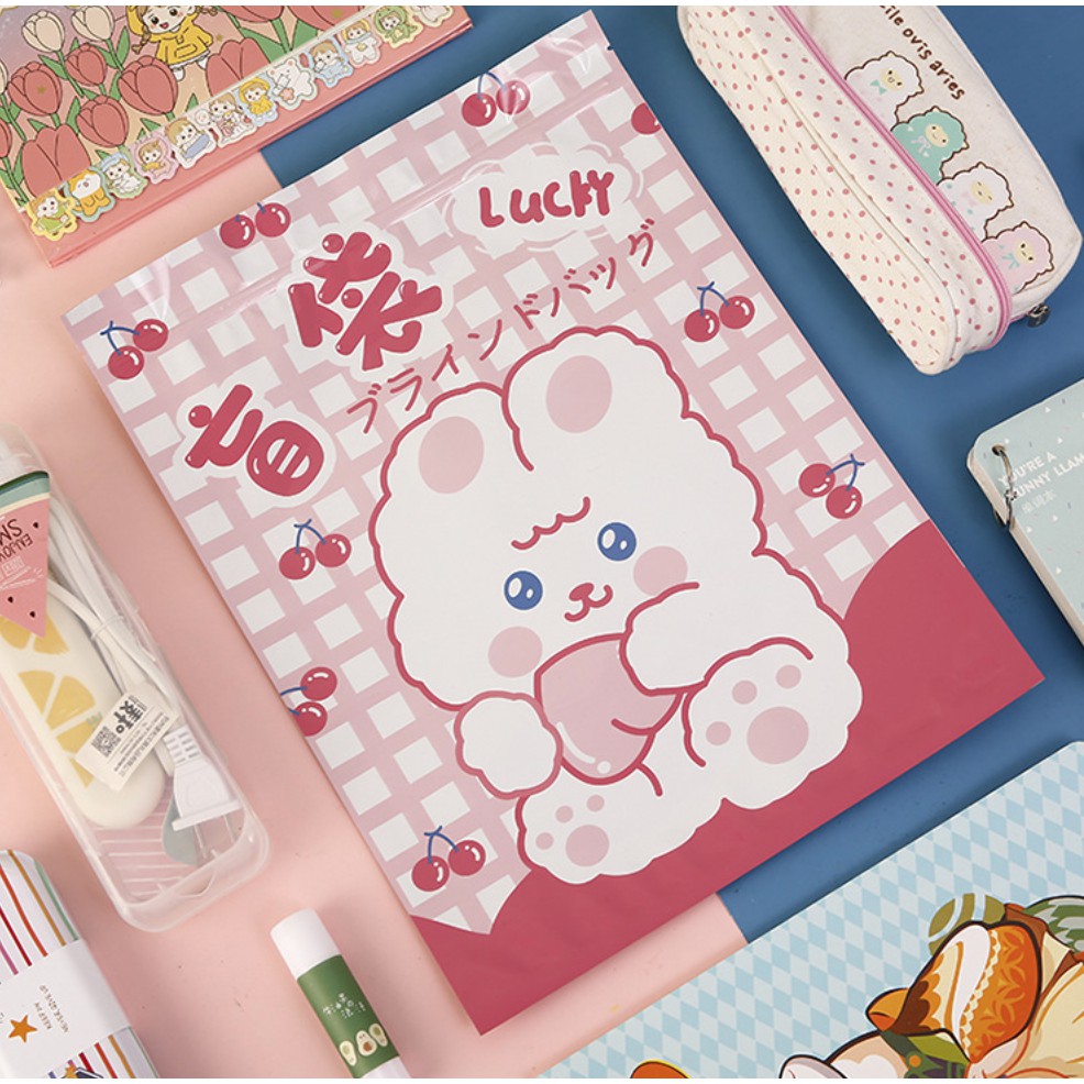 Túi Quà Tặng Bất Ngờ Thiết Kế Dễ Thương Cho Học Sinh, Túi mù dành cho các bạn học sinh