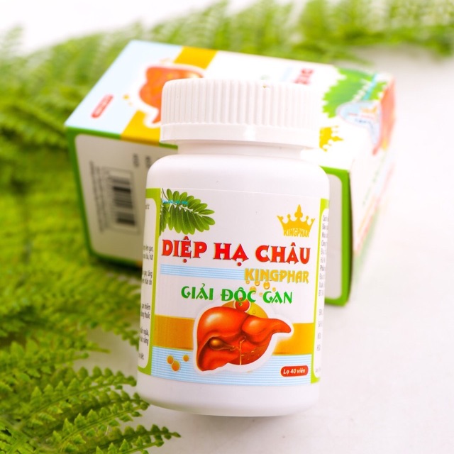 Diệp hạ châu kingphar hộp 40 viên