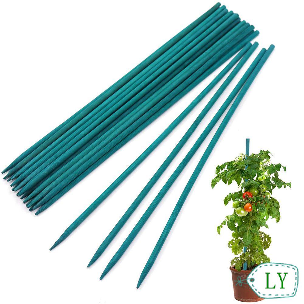 Bộ 30 Que Tre Cố Định Chậu Hoa / Dây Leo Trang Trí Sân Vườn
