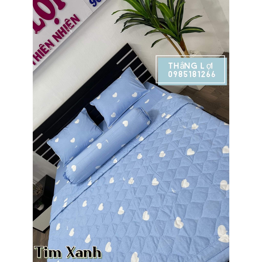Drap Cotton Thắng lợi 100% chính hãng, ga trải giường THẮNG LỢI, Mềm Mịn Mát, Không xù Lông, Phai Màu