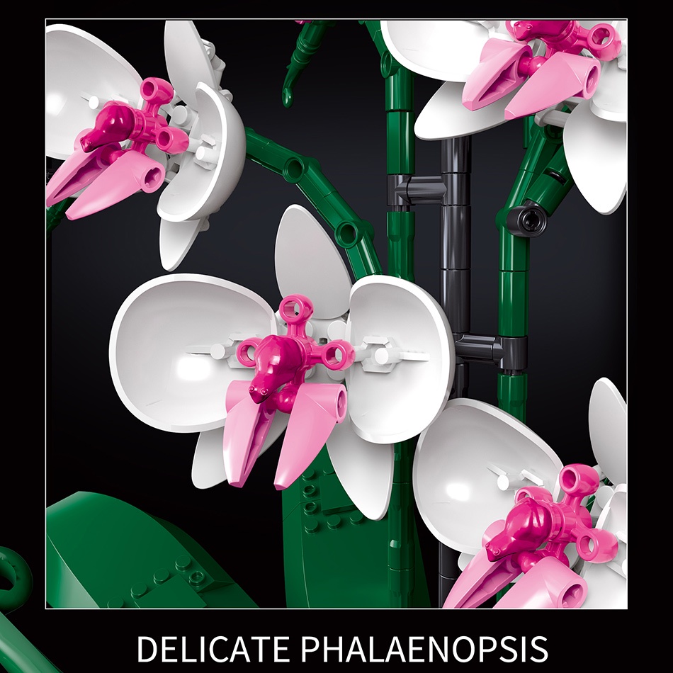 Bó Hoa Phong Lan Tự Làm Lắp Ráp Bonsai MOC Xây Dựng Khối Trang Trí Đồ Chơi Gạch Đồ Chơi Trẻ Em