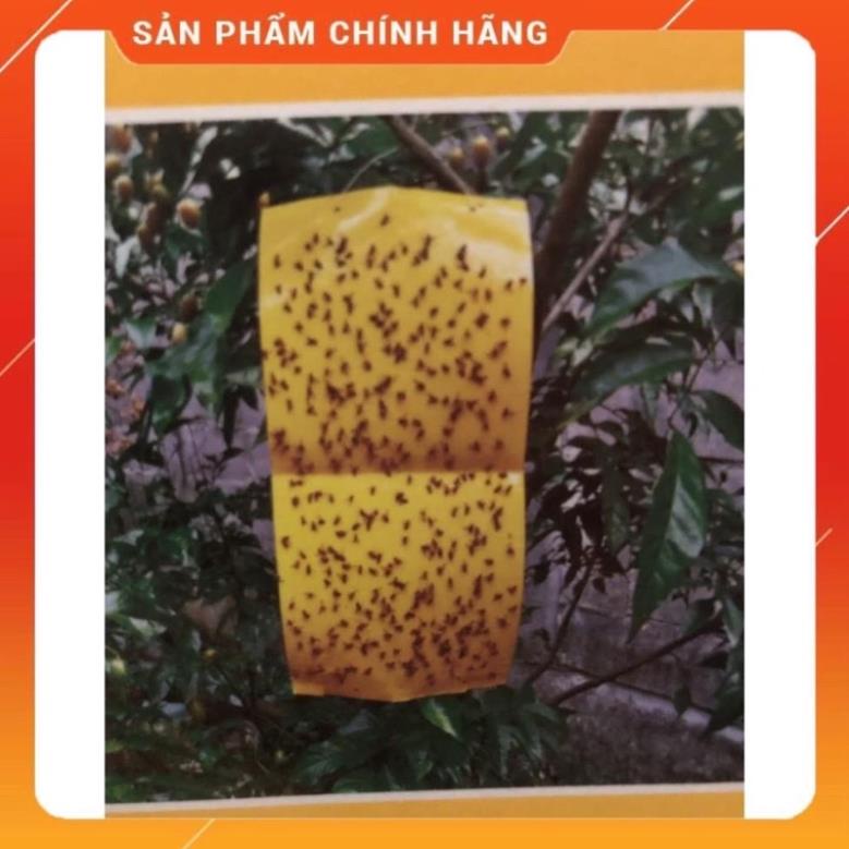 Miếng Dán Siêu Dính Ruồi Vàng - Bẫy Ruồi Vàng Và Các Loại Côn Trùng Gây Hại Cây Lan, Hoa Màu, Cây Ăn Trái - Kèm Dây Buộc