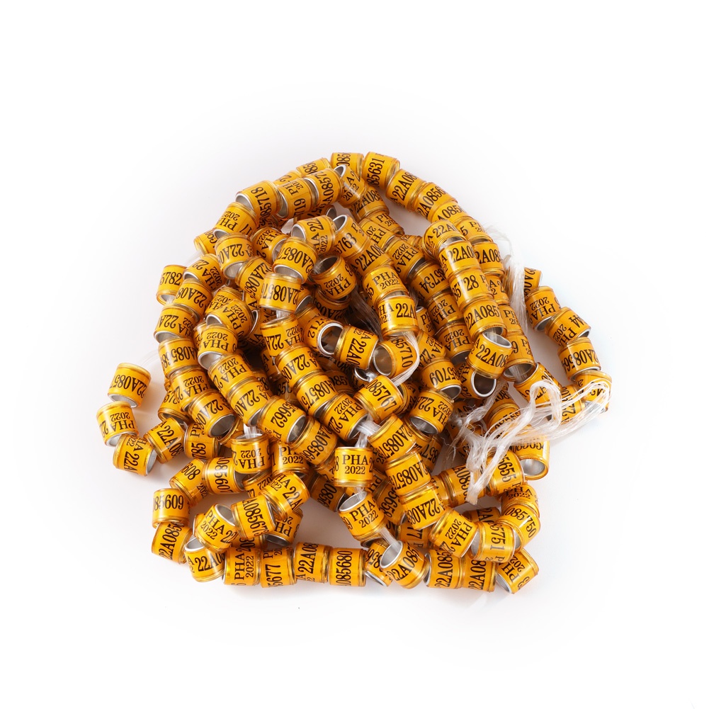 Set 50 / 10 Vòng Đeo Chân 8mm Huấn Luyện Chim Bồ Câu 2024 / 2023 PHA