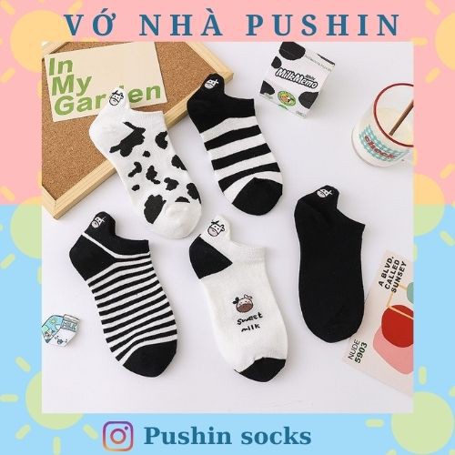 PUSHIN SOCK VỚ BÒ SỮA
