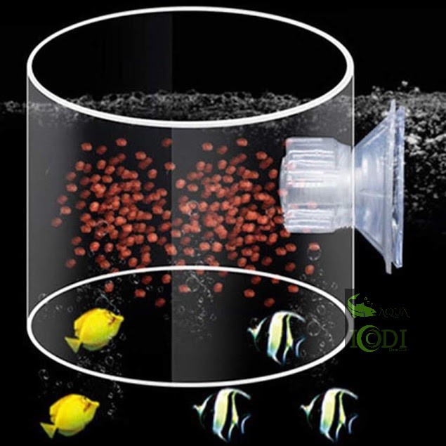 Ống Cho Cá Ăn Acrylic - Vòng Cho Cá Ăn Acrylic