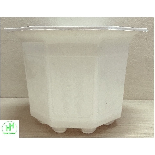 1 Chậu Nhựa Bát Giác 170x120 Màu Trắng