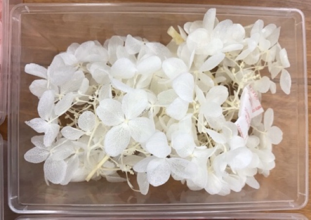 Hoa tú cầu khô cài tóc