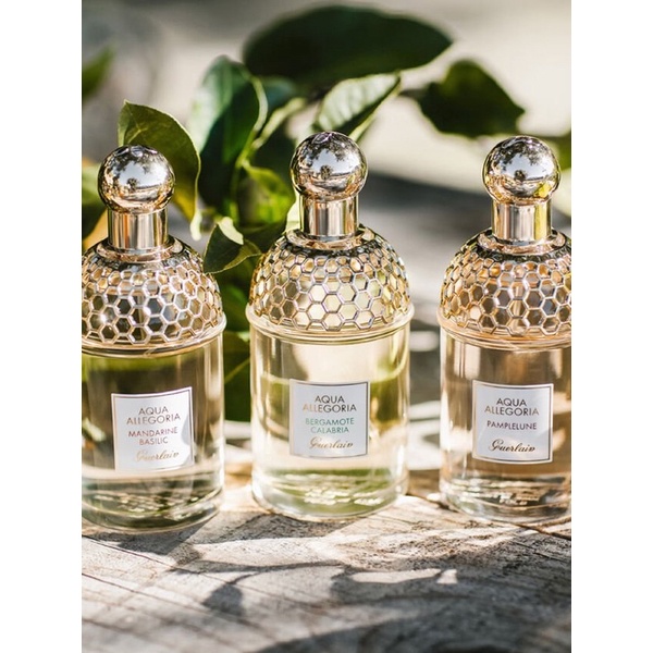 Mẫu thử Nước hoa unisex AQUA ALLEGORIA GINGER PICCANTE của hãng GUERLAIN 10ml/20ml