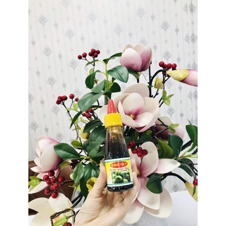 Nước Màu Dừa