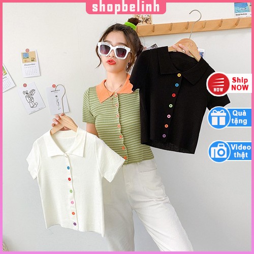 [ảnh thật] Áo polo tay ngắn, áo polo kẻ khuy màu sắc dáng ngắn dễ thương -shopbelinh