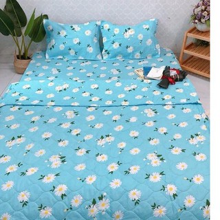 Chăn Cotton Chần Bông ,Chăn Mền Lớn Cotton Polly