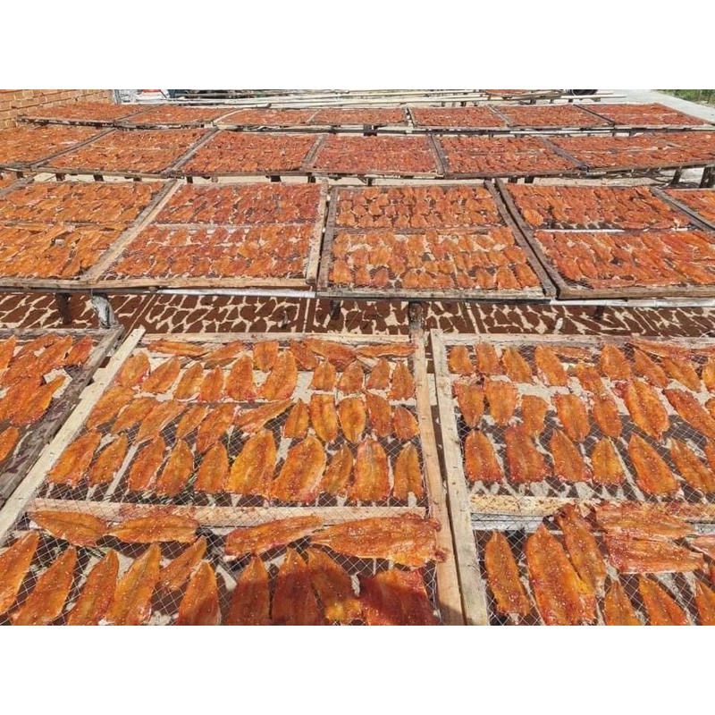 Khô cá mối tẩm gia vị không xương hàng chất lượng xuất khẩu, đóng gói đi nước ngoài