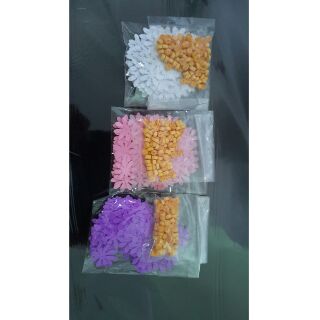 Combo set hoa cúc họa mi