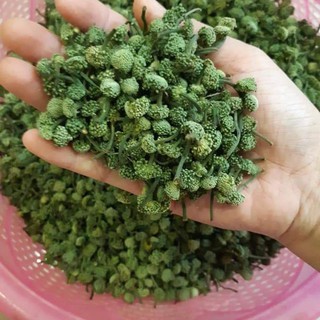Nụ Hoa Tam Thất Khô (Ảnh Thật 100%)