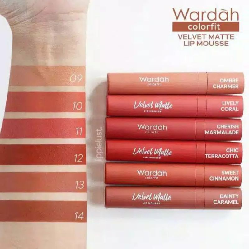 (hàng Mới Về) Son Lì Wardah Colorfit Chất Son Mịn Như Nhung | BigBuy360 - bigbuy360.vn