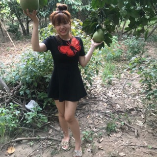 Phương Thảo Giá Rẻ