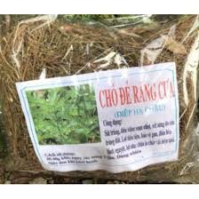 Diệp hạ châu 0.5kg (cây chó đẻ) giúp hạ men gan, gan nhiễm mỡ