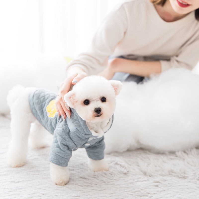[Mã 253FMCGSALE giảm 8% tối đa 100K đơn 500K] Quần áo cho chó, quần áo cho mèo