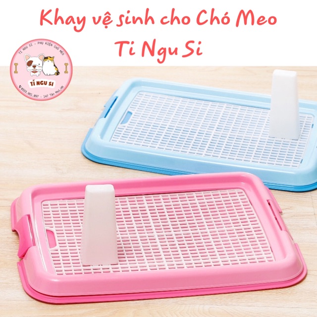 Khay vệ sinh cho Chó nhỏ (kèm cột) 48*36 cm