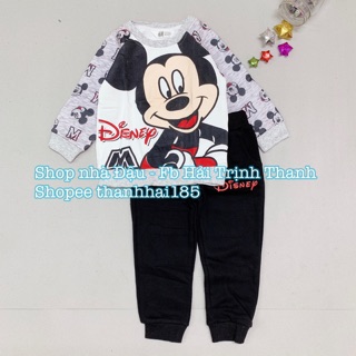 Set nỉ bông xuất dư hoạ tiết mickey