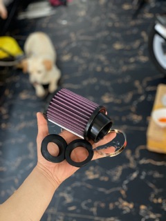 Lọc gió trụ tím