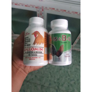 Combo 1 hộp Gallomin và 1 hộp B15B12 hộp 100 viên