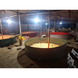 Đèn cacbon , bóng đèn đèn sưởi úm