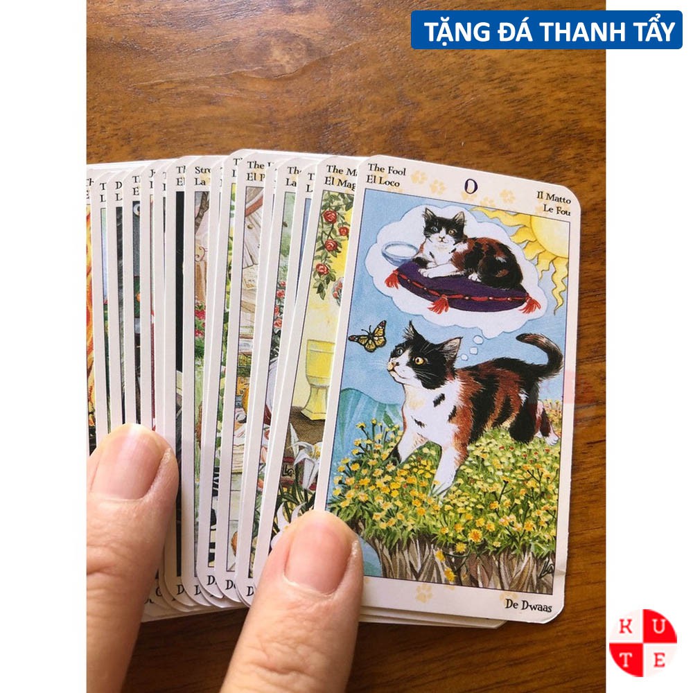 Bài Tarot Of Pagan Cats 78 Lá Bài Bỏ Túi Tặng File Tiếng Anh Và Đá Thanh Tẩy C97