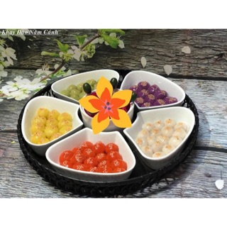 Khay hoa mai 5 cánh sứ trắng Bát tràng