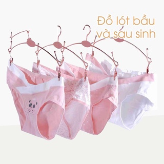 Set 4 Quần Lót Bầu Larosa Chất Liệu Cotton Co Giãn Thoải Mái Cho Mẹ Bầu LA62Q