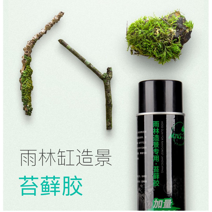 Keo dán rêu Mius làm hồ bán cạn, bể tiểu cảnh terrarium {Hàng chính hãng-Giá rẻ nhất}