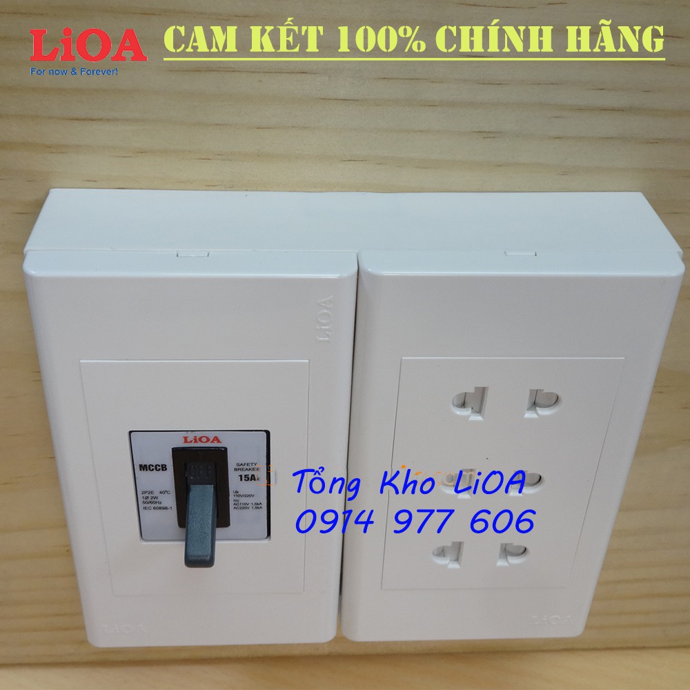 Combo ổ cắm điện lắp nổi có cầu dao chống quá tải 15A - LVMCCB15SE16