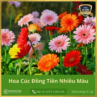 Hạt Giống Hoa Cúc Đồng Tiền Nhiều Màu Sen Vàng-0.1 gram-Tỉ Lệ Nảy Mầm Cao