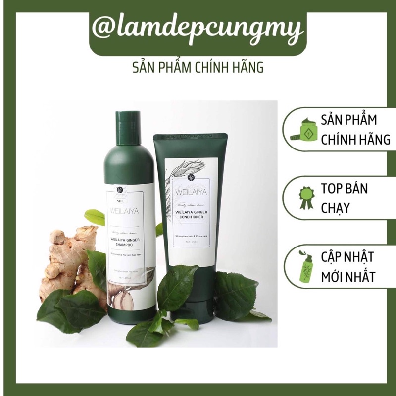 CẶP GỘI XẢ GỪNG WELAIYA