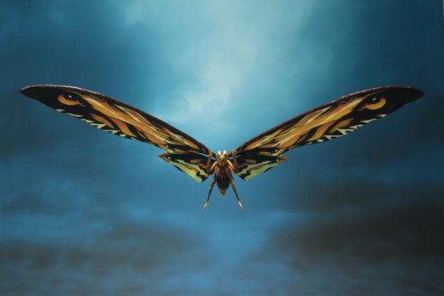 Mô hình đồ chơi Godzilla Kaiju Mothra SH Monster 2019. .