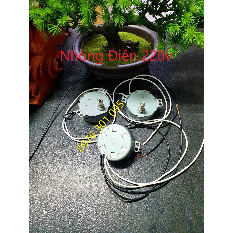 Nhông Đảo Điện Quạt, Nhông Điện 220v Hào Quang