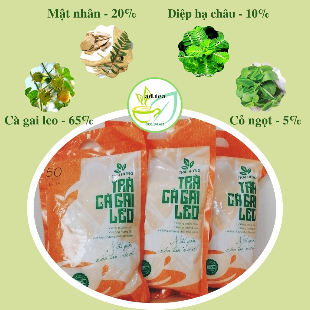 Trà Cà Gai Leo THÁI HƯNG Bịch 50 Túi Lọc 250g Thanh Nhiệt Giải Độc Mát Gan 100% Tự Nhiên/ ad.tea