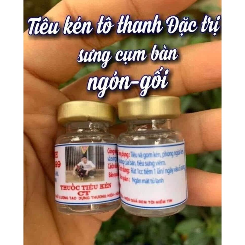 Tiêu kén Tô Thanh