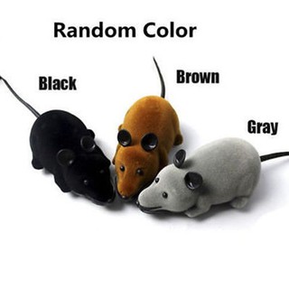 Fake mouse remote control toy for your pet